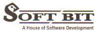 Software development